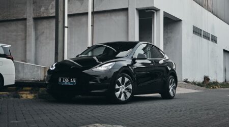 IMG_1733 (1) IMG_1733 (1)